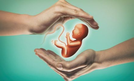 Obesity and fertility