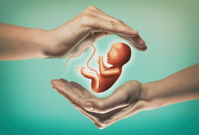Obesity and fertility